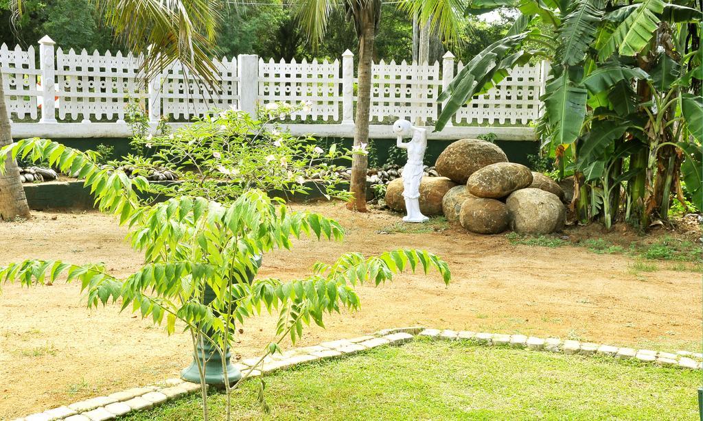 Hotel Flamingo Anuradhapura Exterior photo